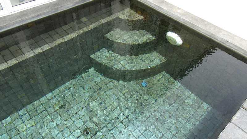 photo 44 piscine en carreaux de pierre naturelle sur la terrasse de la villa.